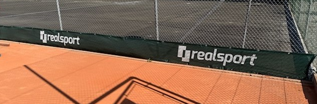 [132851] Mini-Windschutz Court